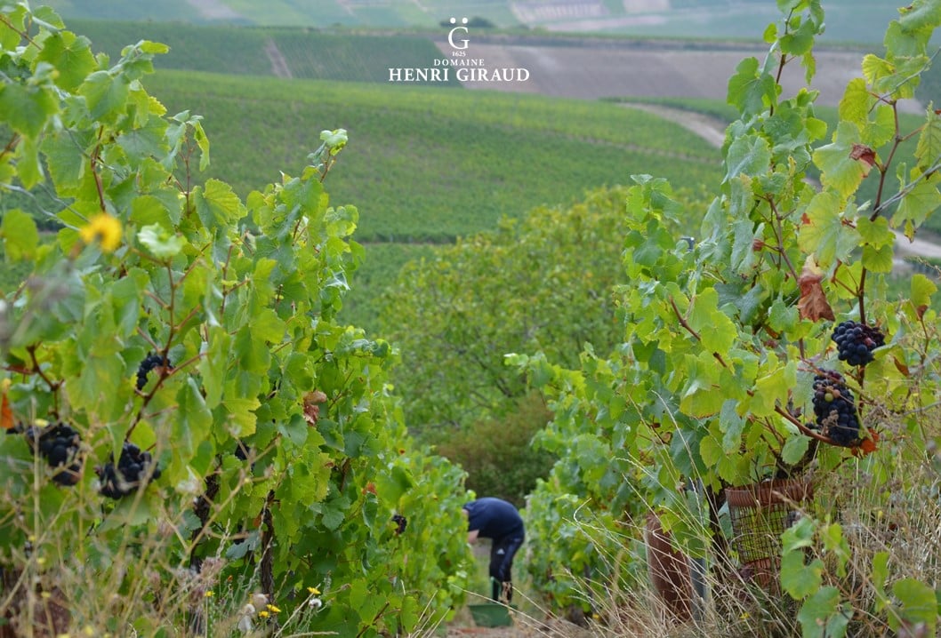 Henri Giraud Ratafia Champenois Solera 1990-2016 亨利•吉羅香檳區 索萊拉華鶴塔菲利口葡萄酒