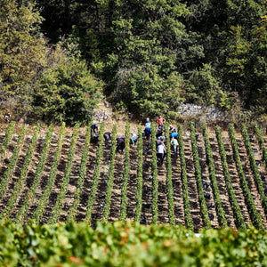 Bouchard Pere & Fils Corton Charlemagne Grand Cru Domaine 2018