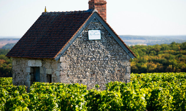 Alphonse Mellot Sancerre La Moussiere 2016