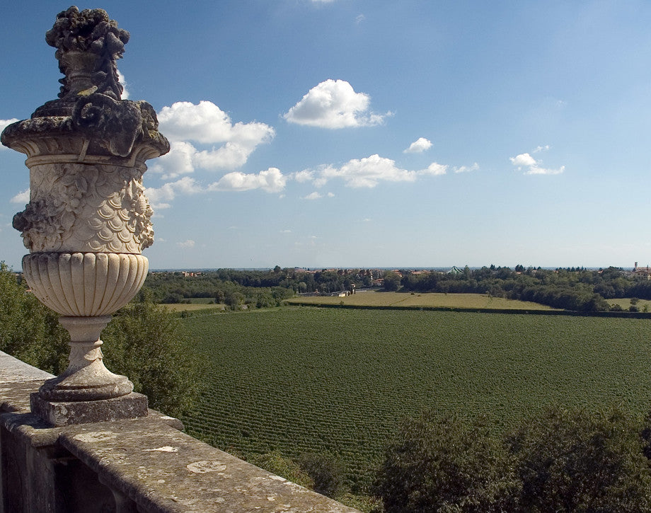 Antinori Solaia 2008 索拉雅紅葡萄酒 2008