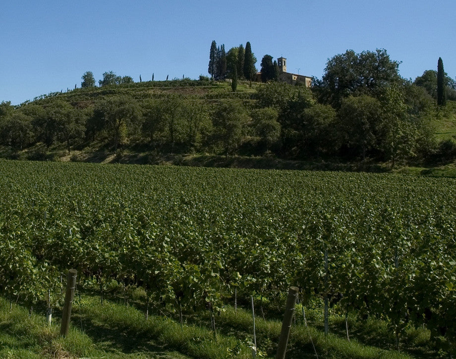 Antinori Solaia 2008 索拉雅紅葡萄酒 2008