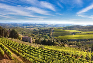 Bibi Graetz Soffocone Di Vincigliata IGT Toscana Rosso 2011