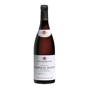 Bouchard Pere & Fils Chambolle Musigny 2013