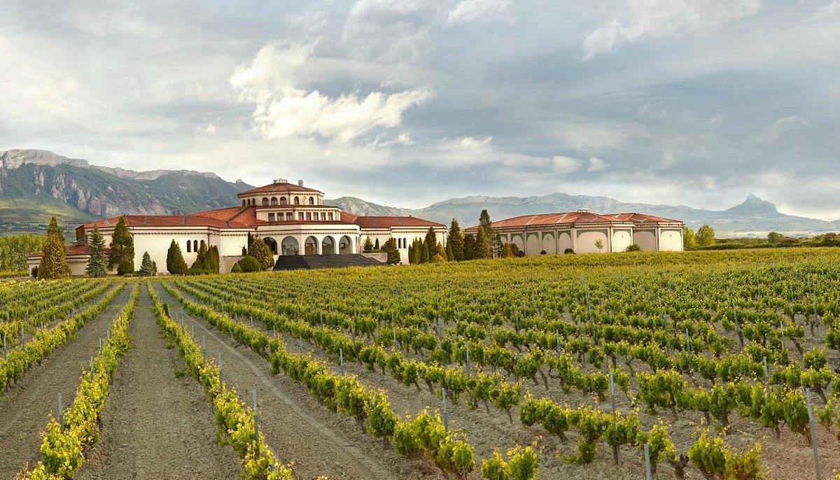 Campillo Blanco Reserva Rioja 2020