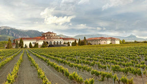 Campillo Blanco Reserva Rioja 2020