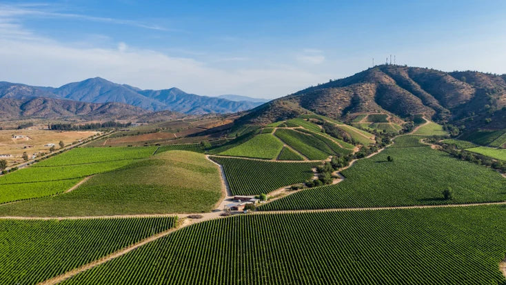 Casas Del Bosque Pinot Noir Gran Reserve 2018