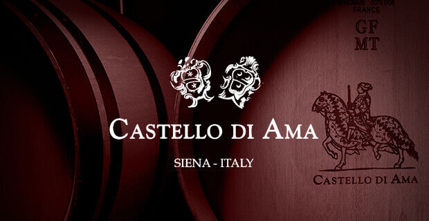 Castello di Ama Chianti Classico 2015 375ml – WineWorld HK