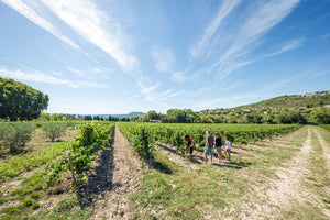 Chateau Pesquie Quintessence Blanc 2019