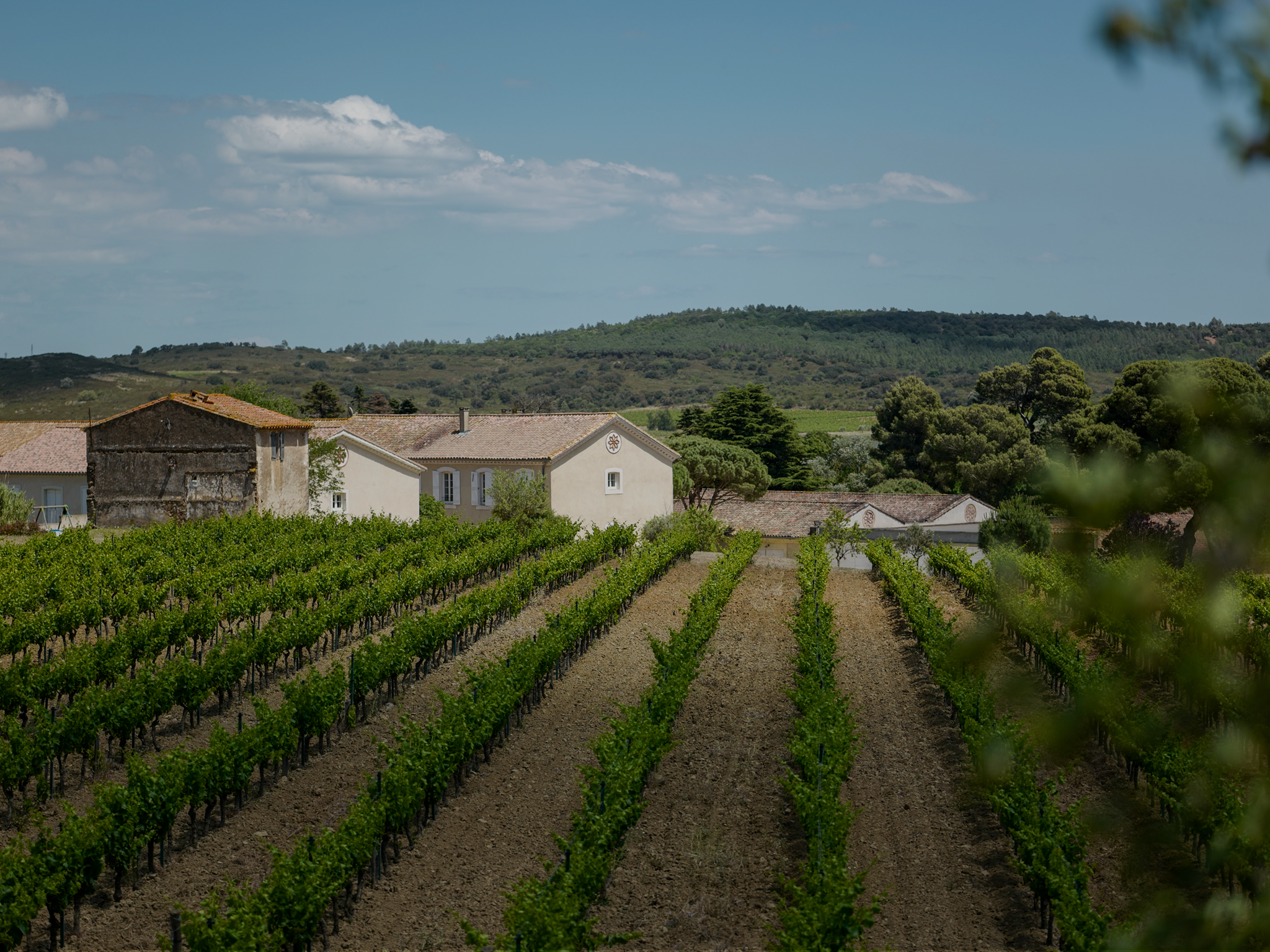 Chateau d’Aussieres 2018 (1.5L)