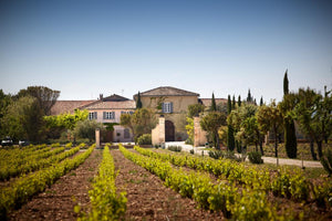 Chateau de Beaucastel, Coudoulet de Beaucastel Cotes du Rhone Blanc 2020