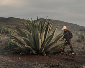 Clase Azul Tequila Mezcal San Luis Potosi (Red) 龍舌蘭酒