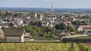 Domaine Arnaud Ente Volnay 1er Cru Santenots du Milieu 2013