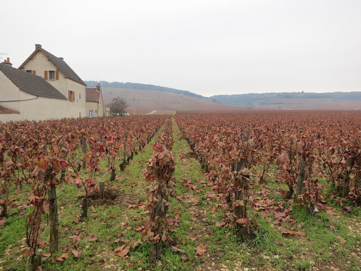 Domaine Arnaud Ente Volnay 1er Cru Santenots du Milieu 2013