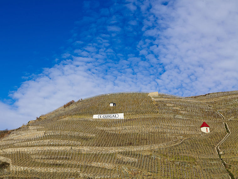 E. Guigal Saintes Pierres de Nalys Chateauneuf du Pape Blanc 2019 納麗斯酒莊聖皮耶紅酒 2019