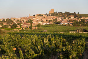 Janasse Chateauneuf-du-Pape Vieilles Vignes 2016