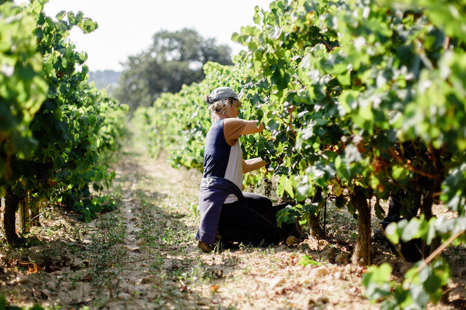 Le Clos du Caillou Cotes du Rhone des Garrigues 2013