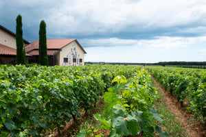 Le Macchiole Messorio Toscana 2002