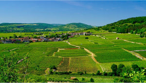 Pierre Yves Colin Morey Chassagne Montrachet 1er Cru Les Caillerets 2009