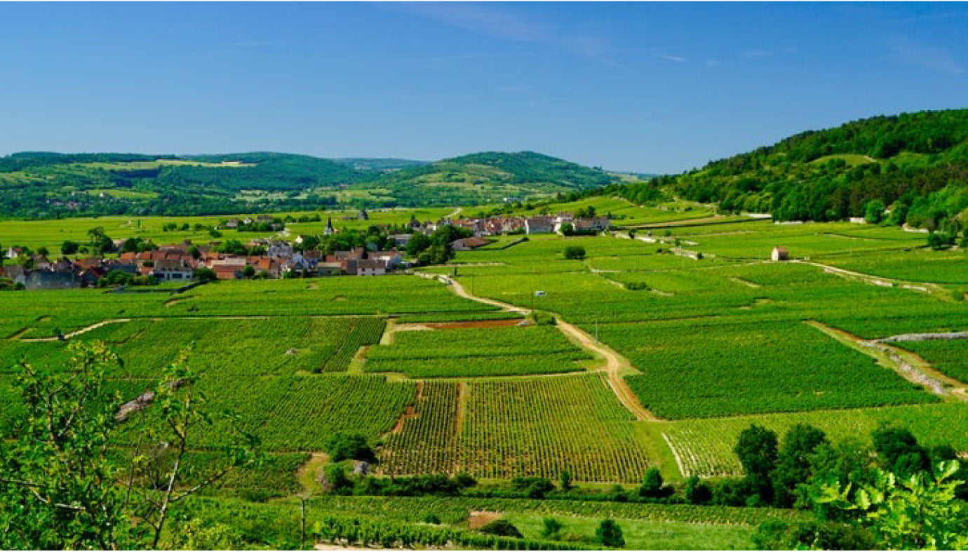 Pierre Yves Colin Morey Pernand Vergelesses 1er Cru Sous Fretille 2018