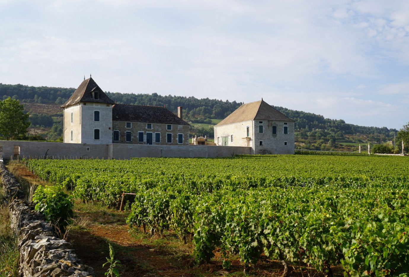 Pierre Yves Colin Morey Pernand Vergelesses 1er Cru Sous Fretille 2018