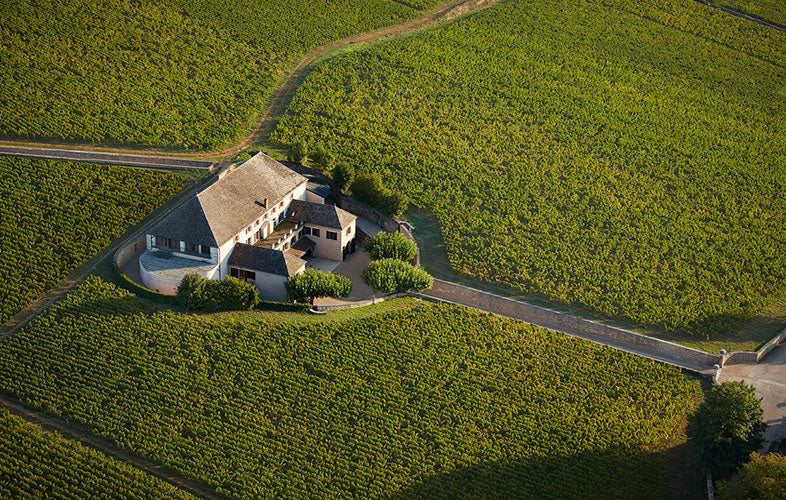 Louis Latour Puligny-Montrachet 1er Cru Sous le Puits  路易拉圖酒莊白酒 普里尼-蒙哈榭一級園 2020