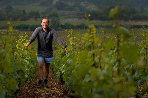 Michel Bouzereau et Fils Bourgogne Chardonnay 2016