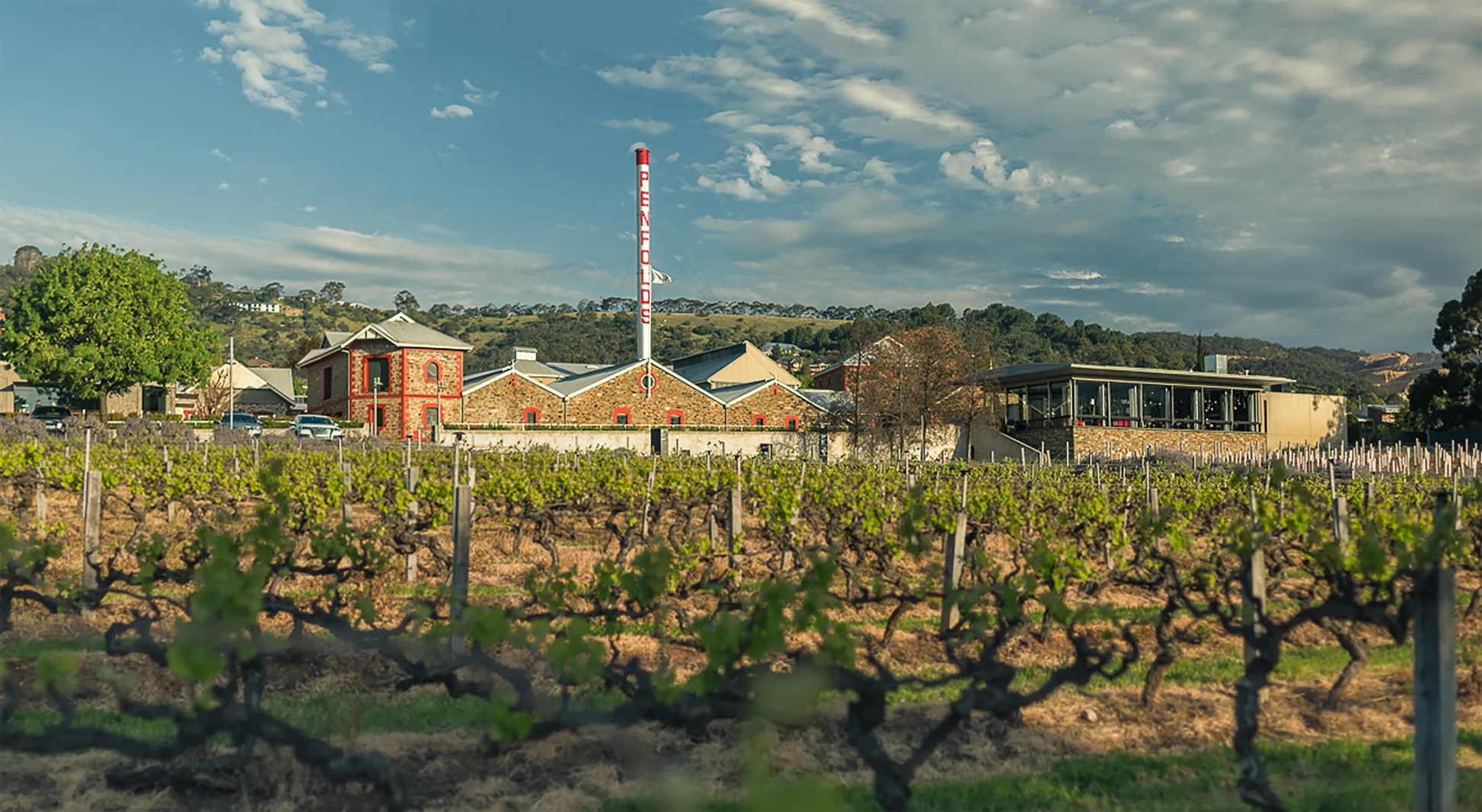 Penfolds Koonunga Hill Shiraz-Cabernet 2020 奔富冠蘭山設拉子-赤霞珠紅酒 2020