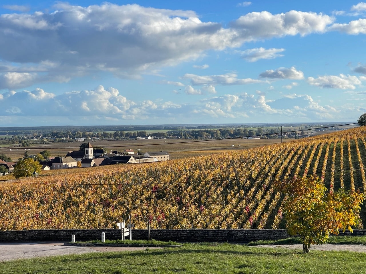 Ponsot Morey St. Denis 1er Cru Cuvee des Alouettes 2013