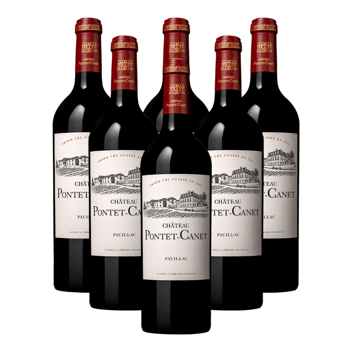 Pontet Canet Vertical Collection (1990,1994,1995,1996,1998,1999) (Sold by Set)