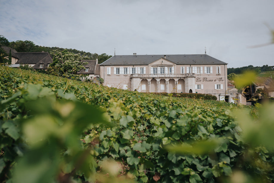 Pousse d'Or Volnay 1er Cru Clos de la Bousse d'Or 2008