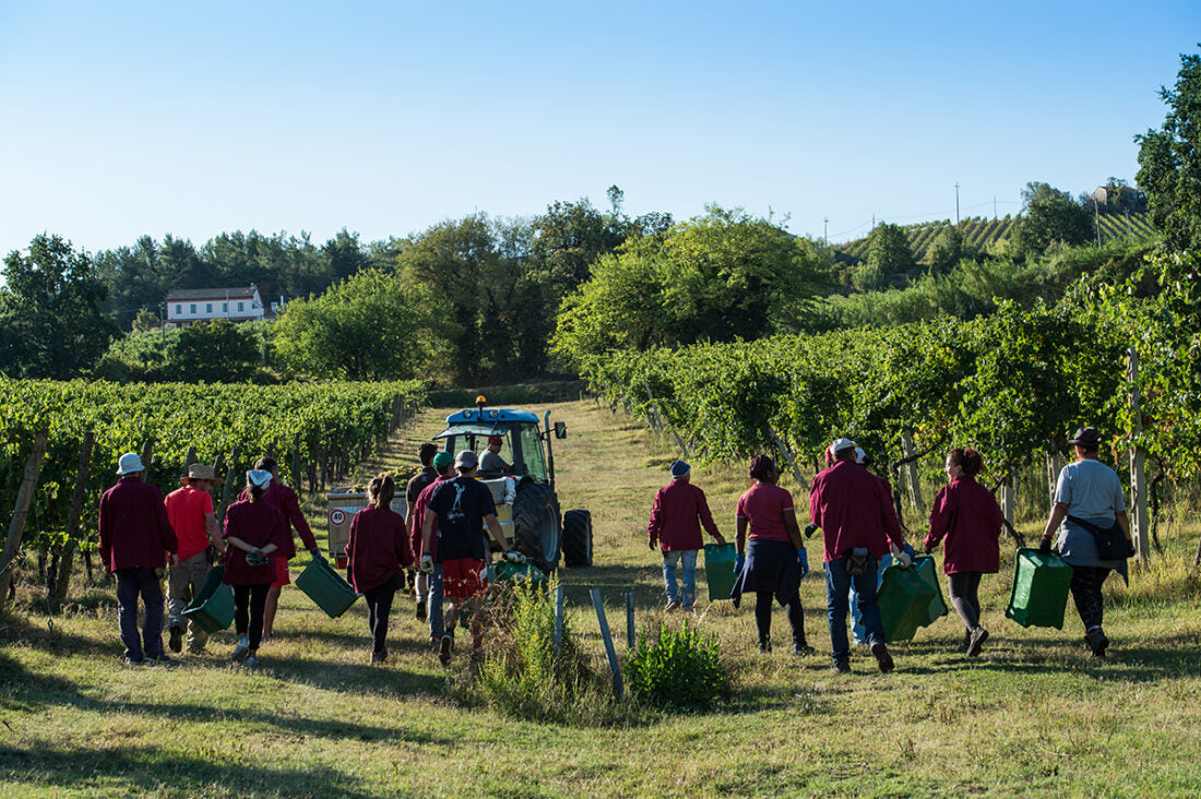 Umani Ronchi Montepulciano d Abruzzo Jorio 2017