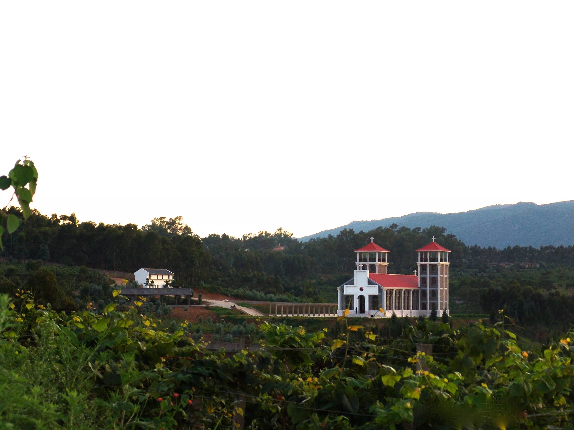 Yunnan Red Honey Wine 雲南紅 蜂蜜酒